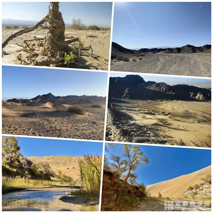 包含欧洲联盟杯夺冠之路蜿蜒曲折，法国劲旅挥金戈的词条