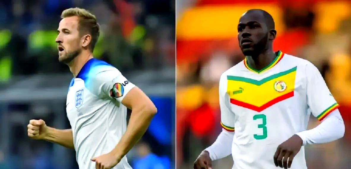 关于高卢雄鸡球员表现出色，助球队夺冠的信息