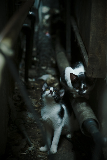 中场统治力全解析,卡塞米罗数据全面爆炸,引领比赛走向—聚焦安哥拉对阵勒沃库森一役