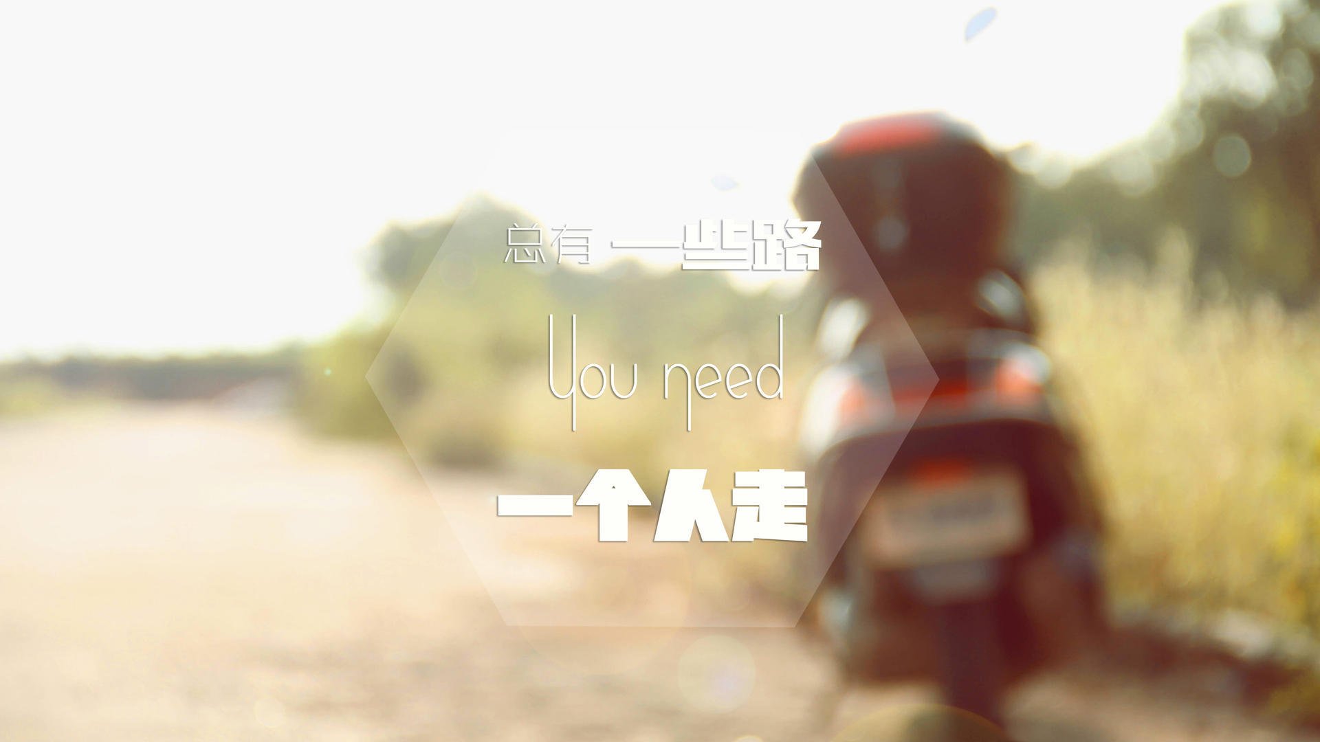 范弗利特关键先生本色尽显,深圳队力克黄蜂迎振奋胜利