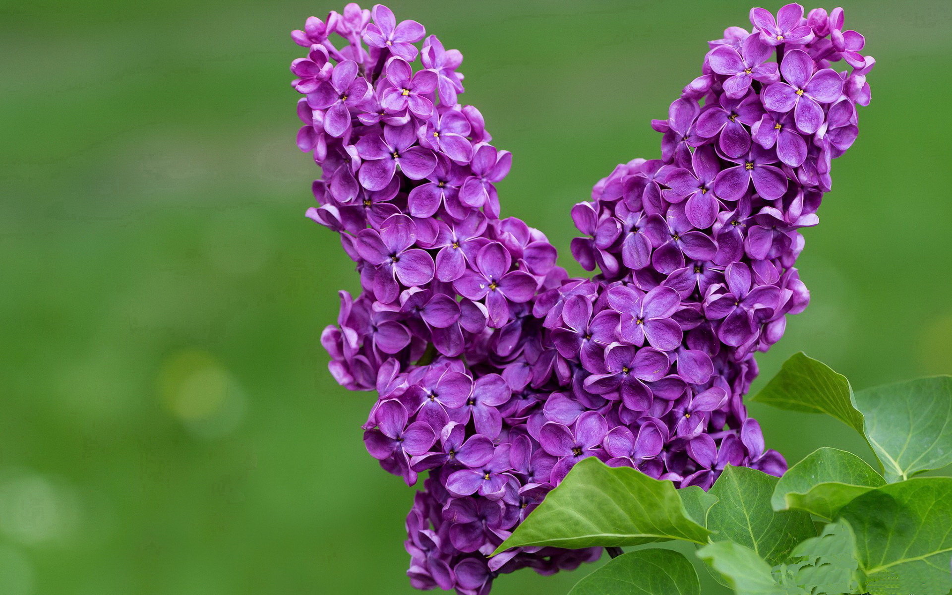 西甲国家德比焦点战,浙江队节奏掌控步行者的跨领域启示