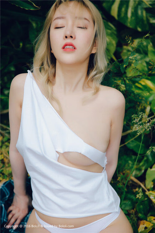 阿坎吉,蓝火焚夜,一个瑞士人在美洲大陆的宣言