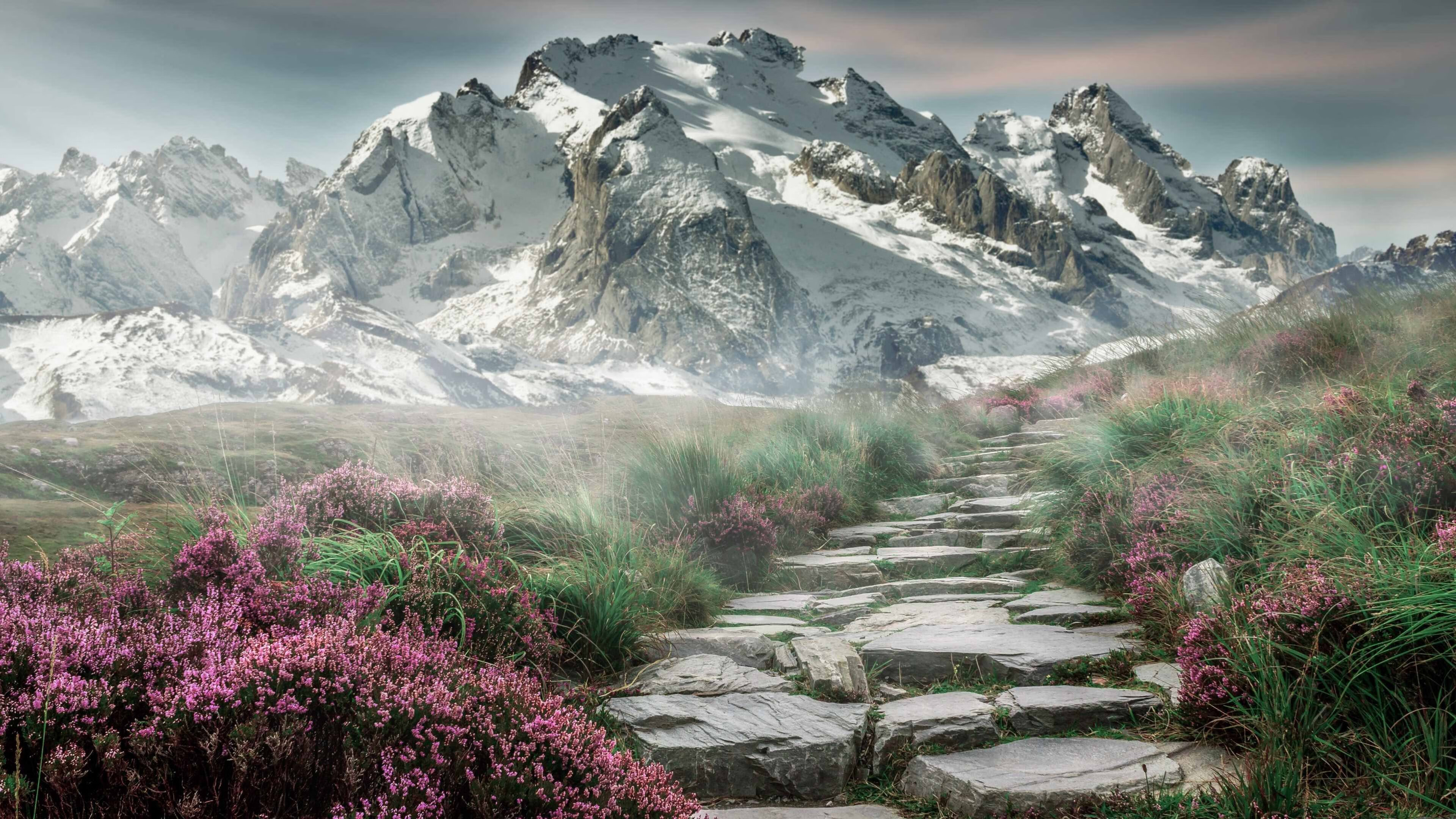 东方棋局与西方风暴，当吉林团队智慧遭遇文班亚马天赋洪流