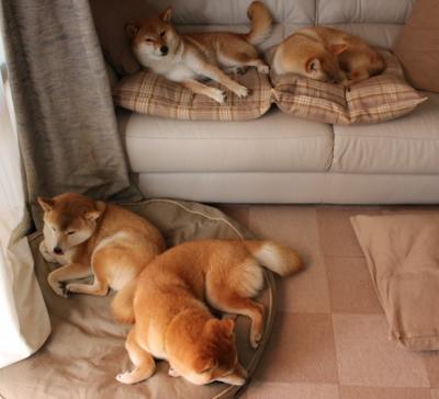 詹姆斯决胜时刻，深圳队对阵奇才的激情对决