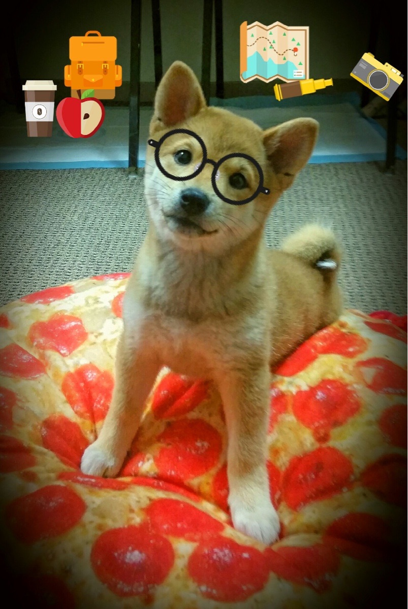 独行侠新神VS太阳旧日荣光，文班亚马的42分统治夜与联盟新秩序的诞生