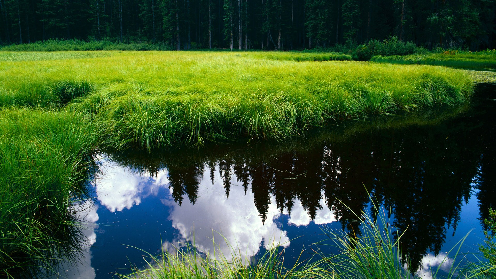 绿茵江湖，终结的艺术与持续的杀机—马竞的铁血与孙兴慜的锋芒